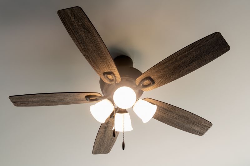 Ceiling Fan Replacement in Olathe, KS